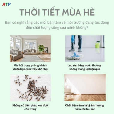 Nước Lau Sàn Clai 1L Hương Lily - Giá chỉ 25.000đ, Sạch Sâu, Thơm Lì Xì