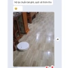 Nước lau sàn đuổi muỗi, kiến, gián - Không chất hoá học, an toàn, giảm còn 45.000đ 5