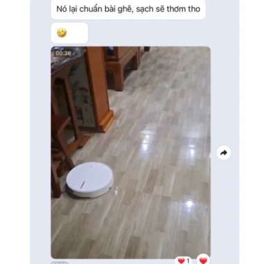 Nước lau sàn đuổi muỗi, kiến, gián - Không chất hoá học, an toàn, giảm còn 45.000đ 5
