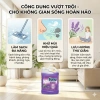 Nước lau sàn Funu 3.8kg ngăn côn trùng - Hương Sả Chanh, Lily, Lavender, Ylang - Giá ưu đãi 85.000₫ 6