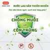 Nước Lau Sàn Kazoku Hương Thanh Trúc 1.8kg – Xua Côn Trùng, Thơm Lâu, Dùng Mọi Loại Sàn – 48,000 VND 6
