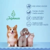 Nước lau sàn khử mùi hôi chó mèo 1.000ml JULYHOUSE YOOSOO - Diệt mùi, sạch, an toàn 2