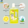 Nước lau sàn lavender hương chanh sả 1L: Thơm mát, khử mùi, lưu hương chỉ 30.000đ 3
