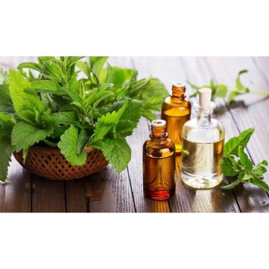 Nước lau sàn tinh dầu bạc hà hữu cơ 1.000ml – Sạch khuẩn, thơm mát, giá ưu đãi Tiệm Ông Nhà Tui