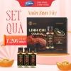 Nước Linh Chi Gold CG Traphaco – Nấm linh chi đỏ, Đông trùng hạ thảo, Hồng sâm Hàn Quốc 12×50ml – Giá 1,200,000₫