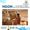 Nước Mắm 40 Độ Đạm Nhà Koii Vạn Phần 500ml - Giá 249.000đ, giảm 49.800đ 5