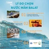 Nước Mắm Cá Cơm Nguyên Chất Ba Lạt 35 Độ Đạm - 80.000 VND, Hương Vị Truyền Thống 5