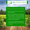 Nước mắm cá cơm nguyên chất Hà Tĩnh ủ thùng gỗ truyền thống 500ml/1L – Giá ưu đãi 80.000₫ 5