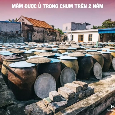 Nước Mắm Cát Hải Quang Hải 28 Độ Đạm OCOP 4 Sao Hương Vị Thơm Ngon Đậm Đà Giá 56.050 VND 7