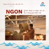 Nước Mắm Chắt Cá Cơm Đen 2 Chai 500ml Vân Hải Cát Hải Truyền Thống 95k 2