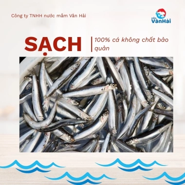 Nước Mắm Chắt Cá Cơm Đen 2 Chai 500ml Vân Hải Cát Hải Truyền Thống 95k 4 Nước Mắm Chắt Cá Cơm Đen 2 Chai 500ml Vân Hải Cát Hải Truyền Thống 95k 4