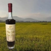 Nước mắm truyền thống Rơm Vàng chai thủy tinh nguyên chất, không chất bảo quản, chỉ 299.400₫ 7