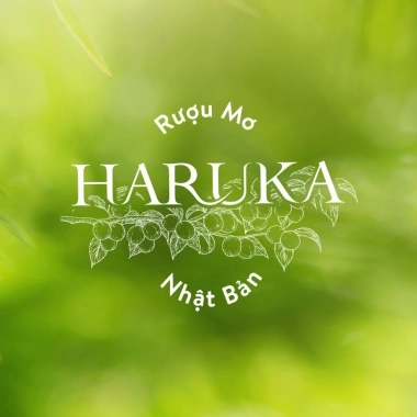 Nước Mơ Nhật Bản Haruka Umeshu 180ml - Ngon ngọt, đậm vị, giá 558.900 VND 6