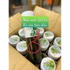 Nước mơ xanh Choya Nhật 720ml - Hàng chuẩn, giá ưu đãi 379.000đ, giảm 79.590đ 2