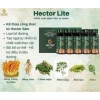 Nước Nấm Đông Trùng Hạ Thảo Hector Lite Chính Hãng – Hỗ Trợ Tiểu Đường, Giảm Đường Huyết, Giá 419.000₫ 5