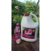 Nước rửa bát sinh học Leafresh - Giảm 20% chỉ 250.000₫, sạch bát, an toàn sức khỏe