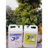 Nước Rửa Chén, Bát Hương Chanh 1,8L Que Xuất Nhật Giá Ưu Đãi 49.000₫ 2