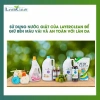 Nước rửa chén bát hữu cơ Layerclean hương quế 5L - Giá chỉ 190.000đ, giảm mạnh 4