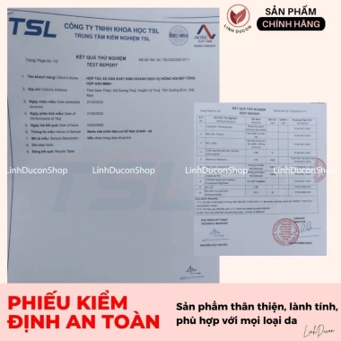 Nước rửa chén hữu cơ Chanh Sả Bồ Hòn – An toàn da tay, chỉ 39.000₫ – HTX Ánh Minh 7
