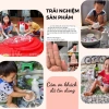 Nước rửa chén hữu cơ Chanh Sả Bồ Hòn – An toàn da tay, chỉ 39.000₫ – HTX Ánh Minh 8