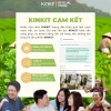 Nước Rửa Chén Hữu Cơ KinKit 2.1L Trà Xanh Lên Men Không Paraben - Mềm Dịu Da Tay, An Toàn Cho Bé 9