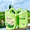 Nước Rửa Chén Min Min Care Enzym Sinh Học 2L – Không Nhớt, Không Hại Da, Sạch Kin Kít, Giá 80.000đ 6