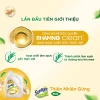 Nước Rửa Chén Sunlight Thiên Nhiên Gừng Gốc Thực Vật 3.5kg An Toàn Cho Bé 139.000 2