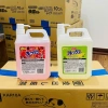 Nước Rửa Chén WAI Rookie-V Nhật 2L Sạch Bong An Toàn Da Giá Ưu Đãi 145.200 VND