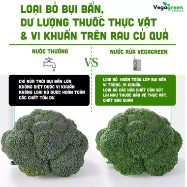 Nước Rửa Rau Quả Organic VegaGreen 1.600ml – Tự Nhiên, Rửa Thực Phẩm, Chén Đĩa, Dụng Cụ Em Bé – 175k 2 Nước Rửa Rau Quả Organic VegaGreen 1.600ml – Tự Nhiên, Rửa Thực Phẩm, Chén Đĩa, Dụng Cụ Em Bé – 175k 2