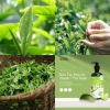 Nước rửa tay hữu cơ thiên nhiên Men GAU Trà Xanh Chanh Bay Mùi Tan, sạch dầu mỡ 500ml – 98.000₫ 4