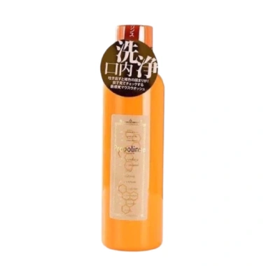 Nước súc miệng Propolinse 600ml nội địa Nhật - Kháng khuẩn, hương bạc hà, giảm 17