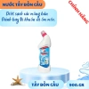 Nước Tẩy Bồn Cầu Đức Giang 900ml - Diệt Vi Khuẩn 99,9% Sạch Sâu, Giá Ưu Đãi 55.000₫ 9