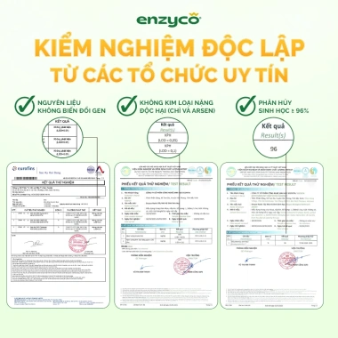 Nước Tẩy Bồn Cầu Sinh Học ENZYCO 860ml Bồ Hòn & Dứa - ECOCERT, Khử Mùi Diệt Khuẩn 4