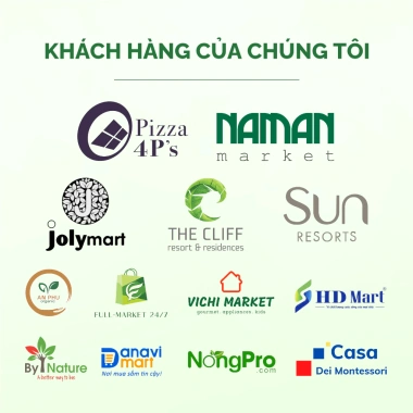 Nước Tẩy Bồn Cầu Sinh Học ENZYCO 860ml Bồ Hòn & Dứa - ECOCERT, Khử Mùi Diệt Khuẩn 9