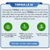 Nước tẩy bồn cầu TOPGIA siêu mạnh đa năng, kháng khuẩn, khử mùi hương thông - Giá chỉ 89.000₫ 9