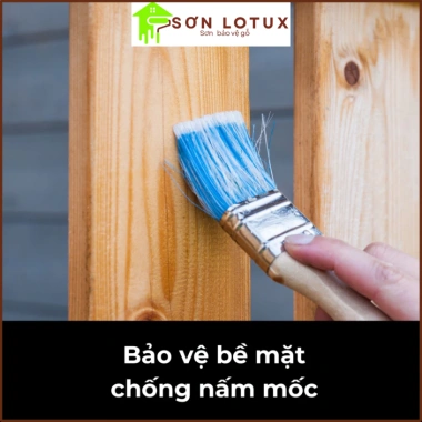 Nước tẩy mốc Lotux – Diệt khuẩn, chống ẩm, sạch nhanh cho tường, trần, sàn gạch, nội thất, sàn gỗ – Giá ưu đãi 76.000₫ 3