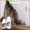 Nước tẩy mốc Lotux – Diệt khuẩn, chống ẩm, sạch nhanh cho tường, trần, sàn gạch, nội thất, sàn gỗ – Giá ưu đãi 76.000₫ 5