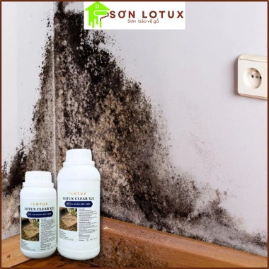 Nước tẩy mốc Lotux – Diệt khuẩn, chống ẩm, sạch nhanh cho tường, trần, sàn gạch, nội thất, sàn gỗ – Giá ưu đãi 76.000₫ 5