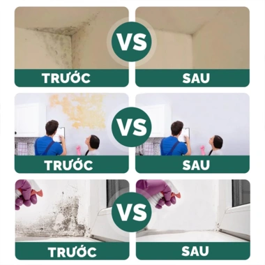 Nước Tẩy Mốc Tường STAR BRITE 500ml - Tặng Khăn Lau, Tẩy Sạch Vết Mốc Lâu Ngày Trên Tường và Quần Áo - Giá 58.000 VND