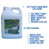 Nước Tẩy Mốc TVS HT01 1.8L - Sạch Mốc Tường Trần Gỗ Roăng Cao Su Quần Áo, Khử Trùng, 139k 3