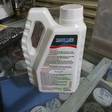 Nước Tẩy Rêu Mốc X-FORCE Đa Năng 1Kg – Diệt Nấm Mốc, Đánh Bay Rêu Rong Nhanh, Giá 66.066₫