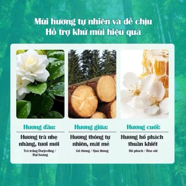 Nước tẩy rửa bồn cầu Flashman 500ml - Kháng khuẩn, sạch sâu, hương gỗ, chỉ 48.900 VND