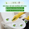Nước Tẩy Rửa Bồn Cầu Toilet 500ml Xanh Herbal MT - Khử Mùi Bạc Hà Oải Hương, Tẩy Sạch Giá Ưu Đãi 117.760₫ 7