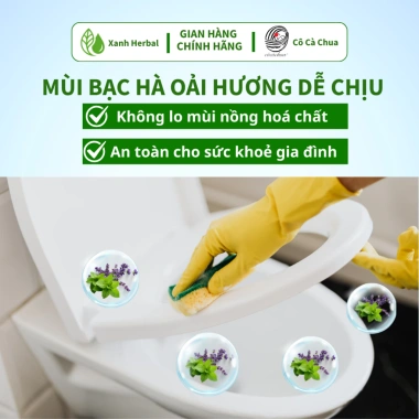 Nước Tẩy Rửa Bồn Cầu Toilet 500ml Xanh Herbal MT - Khử Mùi Bạc Hà Oải Hương, Tẩy Sạch Giá Ưu Đãi 117.760₫ 7
