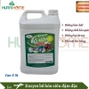 Nước tẩy rửa đa năng Enzym Bồ Hòn 5l - Tẩy sạch mọi vết bám, giá ưu đãi 491.000₫