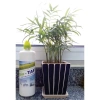 Nước tẩy rửa sinh học không clo Bio TAF Viện Công Nghiệp Thực Phẩm - 72.000đ 2