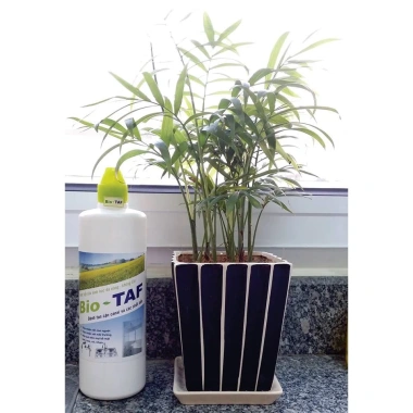Nước tẩy rửa sinh học không clo Bio TAF Viện Công Nghiệp Thực Phẩm - 72.000đ 2