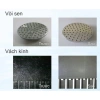 Nước tẩy rửa sinh học không clo Bio TAF Viện Công Nghiệp Thực Phẩm - 72.000đ 5