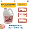Nước thơm lau sàn TrueCare 3kg6 Giảm giá 79.000, nhà sạch mát hương hoa tươi 5
