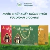 Nước Trùng Thảo Fucoidan Gicomus 6 Hũ - Quà Biếu Cao Cấp, Giảm Giá 289k 2